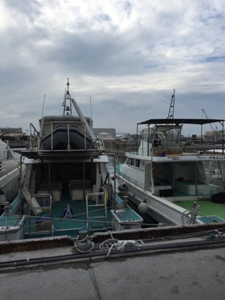 奄美大島加計呂麻島の風景