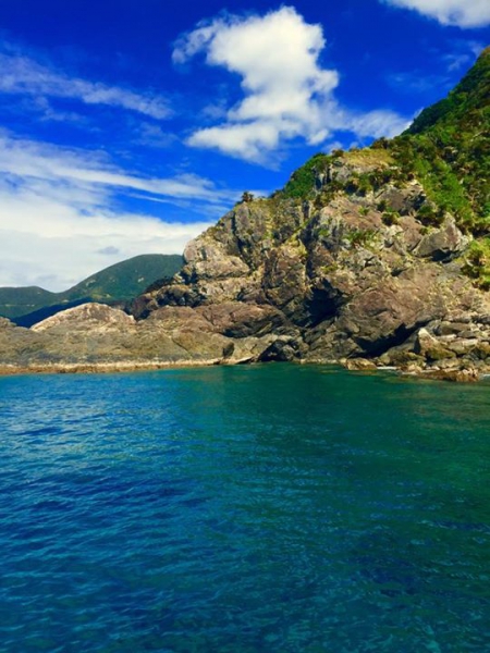 奄美大島加計呂麻島の風景