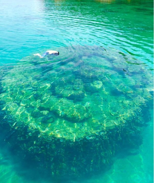 奄美大島加計呂麻島の風景