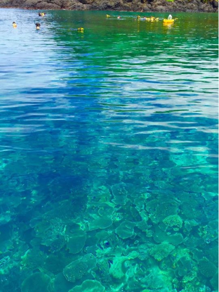 奄美大島加計呂麻島の風景