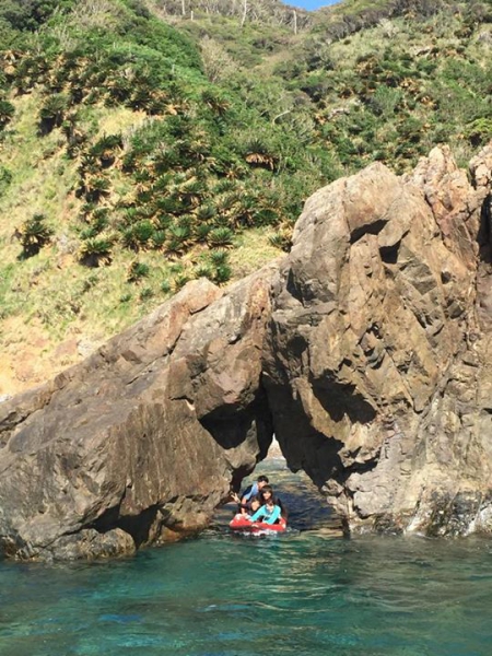 奄美大島加計呂麻島の風景