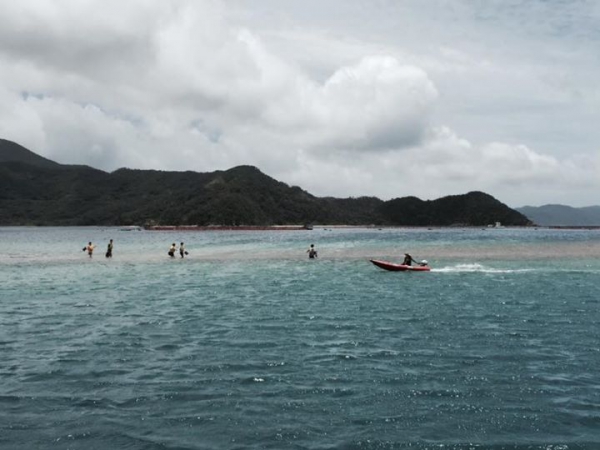 奄美大島加計呂麻島の風景