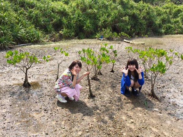 奄美の観光写真