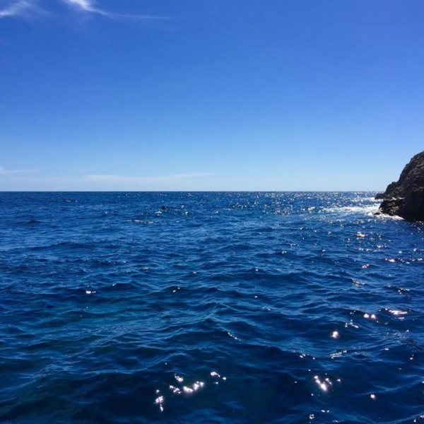 奄美大島加計呂麻島の風景