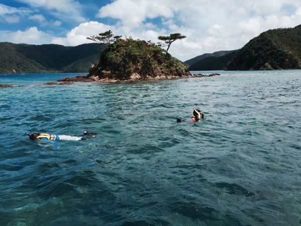 奄美大島加計呂麻島の風景